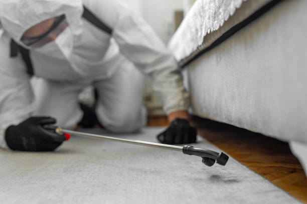 Professional Bed Bug Control technician working in Shelby County County, OH